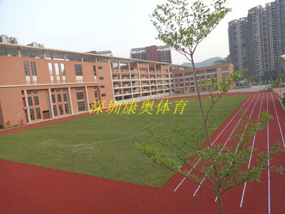 KAP-008 混合型塑胶跑道
